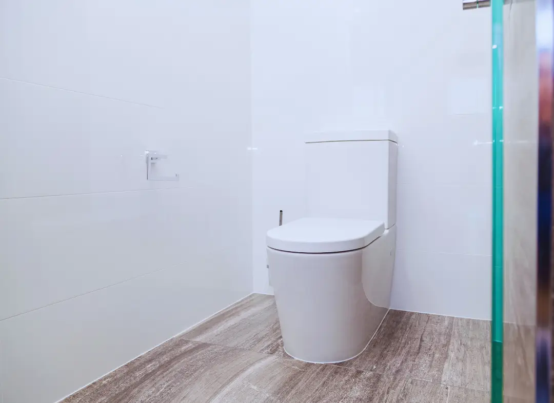 Remplacement de wc Revel